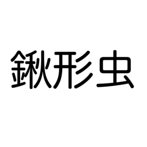 昆虫の漢字クイズ 中級 この漢字読めるかなー 動物生き物サイト