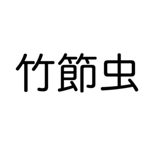 昆虫の漢字クイズ 中級 この漢字読めるかなー 動物生き物サイト